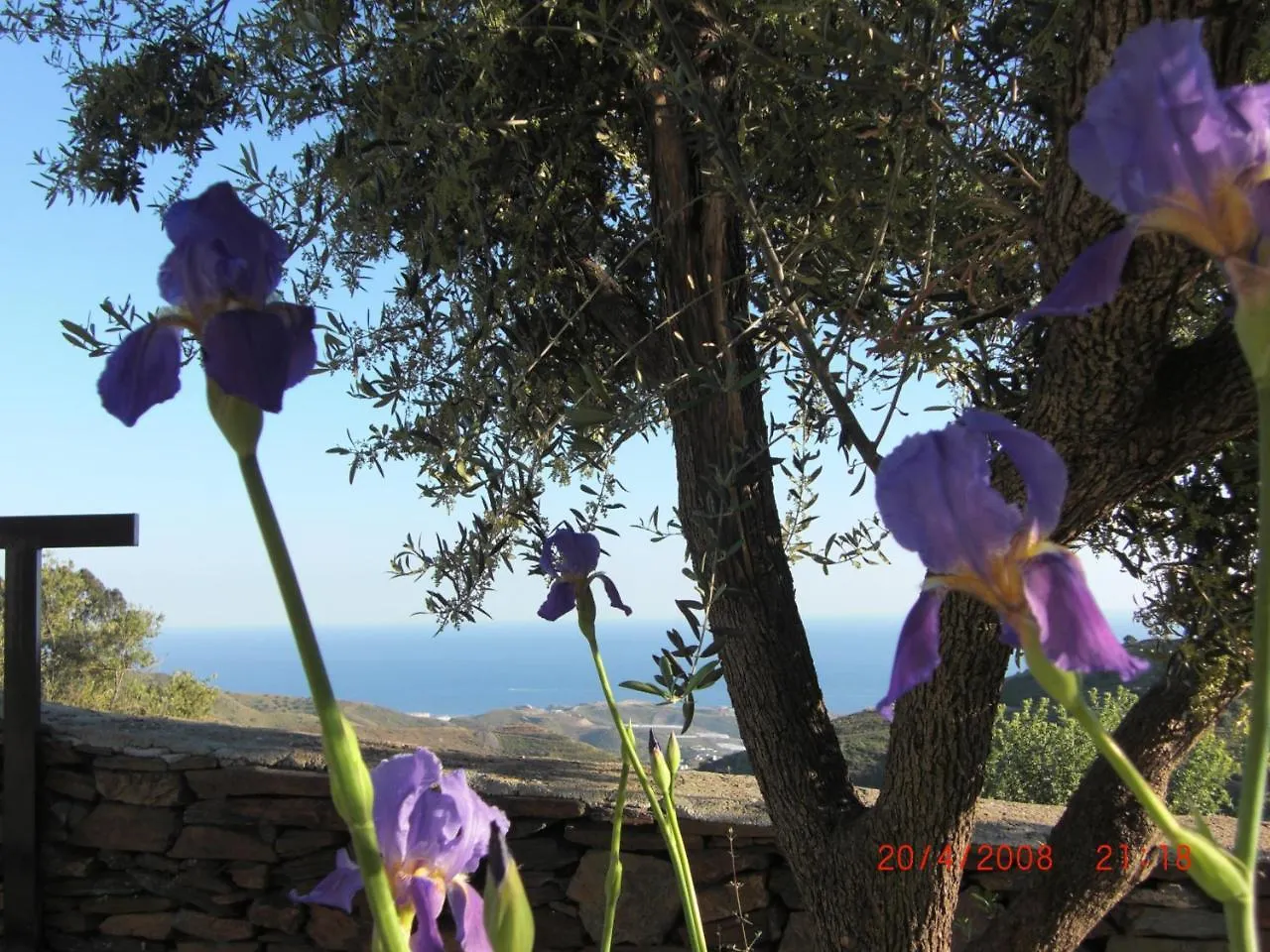Villa El Ancla Sayalonga Spain